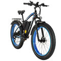 E bike 26 Zoll Elektrofahrrad Mountainbike 50km/h Pedelec 1000W 48V E Fatbike