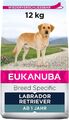 Eukanuba Breed Specific Labrador Retriever Hunde Trockenfutter mit Huhn, 12 kg