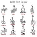 ❤️ CHARM ANHÄNGER ECHT SILBER 925 STERNZEICHEN CHARMS FÜR BETTEL ARMBAND KETTE