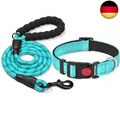 haapaw reflektierendes Hundehalsband gepolstert mit weichem Neopren