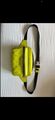 Louis Vuitton Outdoor Bumbag Monogram Taigarama Neon Yellow Tasche Ltd Edt RARE