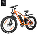 VARUN 26 Zoll E-Bike Elektrofahrrad 250W E-Mountainbike Fatbike 25KM/H E-Fahrrad