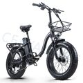 20 Zoll Elektrofahrrad Klapprad E-Bike 800W Herren/Damen E Mountainbike Fatbike