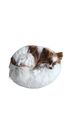 Hundebett Katzenbett Haustierbett Kuschelbett Bett Hundekorb Plüsch Donut Kissen