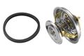 BorgWarner (Wahler) Thermostat Kühlmittel 4158.80D für CHRYSLER DODGE OPEL ROVER