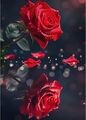 KEYIFA 5D Rote Rosen Diamond Painting Set, DIY Vollbohrer Basteln Bilder Rosen