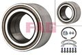 Schaeffler FAG Radlagersatz Radlager Satz Wheel Bearing Hinten 713 6675 50