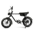 20 Zoll 750W Mountian E Bike 48V Elektrofahrrad 15Ah Fatbike Ebike 45km/h Männer