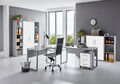 Arbeitszimmer Büro Büro-Set Büromöbel TABOR PRO 5 Home Office in diversen Farben