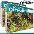 Söchting 2x Oxydator Mini für Aquarien bis je 60L Sauerstoff Algen H2O2 Pflege 