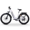 Damen E-bike 26 Zoll Mountainbike 840WH Elektrofahrrad 25km/h E-City Bike Moped