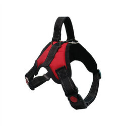 Hundegeschirr Hunde Brustgeschirr verstellbar Gr. S M L XL gepolstert Nylon refl