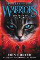 Erin Hunter | Warriors: The Broken Code 5: The Place of No Stars | Taschenbuch