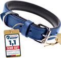 Schnüffelfreunde Hundehalsband aus Leder - Blau