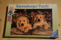 Ravensburger Puzzle 300 Teile Hundewelpen