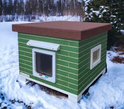 Katzenhütte MAO, Katzenhaus mit Katzenklappe, Winterfest, aus Holz, GRÜN