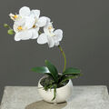 Kunstblume Orchidee Phalaenopsis in Keramikschale Creme ca. 25cm Natural-Touch