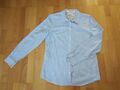 Bluse von SPRINGFIELD Gr. 40 aus Baumwolle Hellblau mit Streifen