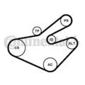 CONTINENTAL CTAM Keilrippenriemensatz  u.a. für NISSAN, OPEL, RENAULT