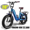 Fafrees F20 Master Carbon Elektrofahrrad 500W Mountainbike 20 Zoll E-Bike 22.5AH
