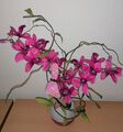 Künstliche Orchidee Pflanze Blume Höhe 40 cm Kunstpflanze Deko