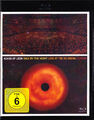 KINGS OF LEON-ONLY BY THE NIGHT LIVE AT THE 02 ARENA,LONDON.