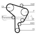 1x Continental Ctam Wasserpumpe + Zahnriemensatz u.a. für Audi A3 8L | 566844