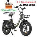 ENGWE 20 Zoll E-Bike Pedelec Cityräder Elektrofahrrad 250W 48V 13Ah Klapprad