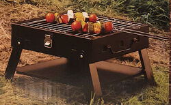 ACTIVA Grill Klappgrill Campinggrill Picknickgrill Holzkohlegrill - NEU & OVP