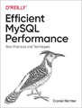 Daniel Nichter Efficient MySQL Performance (Taschenbuch)