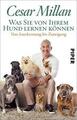 Was Sie von Ihrem Hund lernen können - Cesar Millan (2019) - UNGELESEN