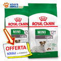 Royal Canin Hund → Adult Mini Ageing 12 800 Gr /1,5 /3,5 KG Kroketten Hunde