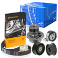 CONTI CT873 Zahnriemen + SKF Rollen Satz WAPU für OPEL ASTRA F CORSA B VECTRA B