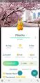 ⚡Shiny (Schillernd) Pikachu Flower Hat Cherry Blossom Background Pokemon GO⚡
