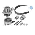 Meyle 151 049 9018 Wasserpumpe + Zahnriemensatz für Seat VW Audi Skoda