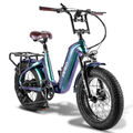 FAFREES 500W e Bike Elektrofahrrad 20 Zoll Kohlefaser Fatbike 22,5AH 45km/h 60Nm