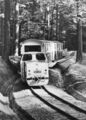 Liliputbahn, Pioniereisenbahn Gera, im Martinsgrund,Diesellok EA44-01, 1976