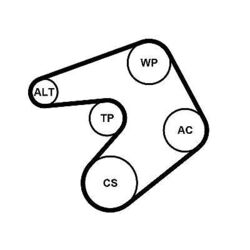 CONTINENTAL CTAM Keilrippenriemensatz 6PK1205K1 für OPEL