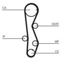 CONTINENTAL CTAM WASSERPUMPE + ZAHNRIEMENSATZ CT1099WP1 FÜR HYUNDAI KIA 01-03