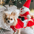 Weihnachtskostüme Hundekleidung Bequemer Hundemantel mit Kapuze Hundeanzug Heimt