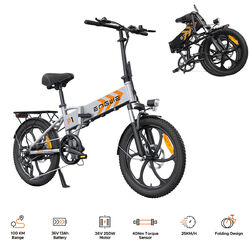 ENGWE P1 20 Zoll E-Bike Elektrofahrrad 250W E-Mountainbike 25KM/H Grau Faltbar