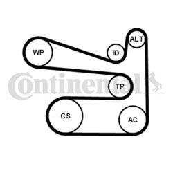 Keilrippenriemensatz CONTINENTAL CTAM 6PK1693K1 für SKODA AUDI SEAT VW FABIA A1