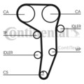 WASSERPUMPE + ZAHNRIEMENSATZ CONTINENTAL CTAM CT1051WP1 FÜR AUDI A4 8ED, B7