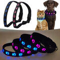 Leuchthalsband LED-USB Hund Leuchtschlauch Hundehalsband USB für Hunde  S-M N7H8