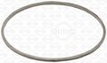 ELRING 593.100 Gasket, exhaust pipe for AUDI,AUDI (FAW),BENTLEY,PORSCHE,VW