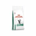 ROYAL CANIN Feline Satiety Weight Management 6kg