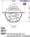 BorgWarner (Wahler) 3017.92D2 Thermostat für Kühlmittel Thermostat 