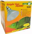 Lucky Reptile Bright Sun Flood Jungle - 70 W Metalldampflampe für E27... 