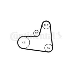 6PK995K1 CONTINENTAL CTAM Keilrippenriemensatz