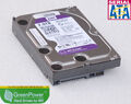 2000 GB 2TB SCHNELLE SATA FESTPLATTE WESTERN DIGITAL WD WD20PURX HDD  #WD-02PURX